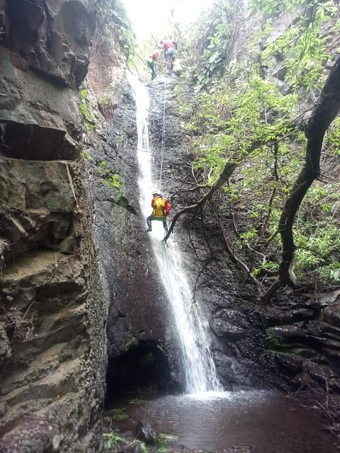 Gran Canaria: Canyoning Adventure in the Green Heart Jungle - Experience Highlights