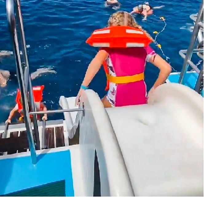 Gran Canaria: Catamaran Dolphin Watch Cruise With Snorkeling - Activity Details