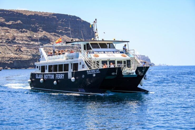 Gran Canaria: Catamaran Dolphin Watch Cruise With Snorkeling - Experience