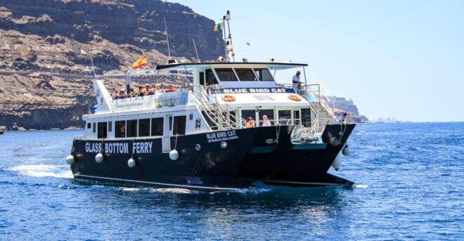 Gran Canaria: Catamaran Dolphin Watch Cruise With Snorkeling - Inclusions