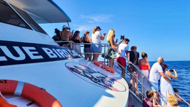 Gran Canaria: Catamaran Dolphin Watch Cruise With Snorkeling - Select Participants and Date