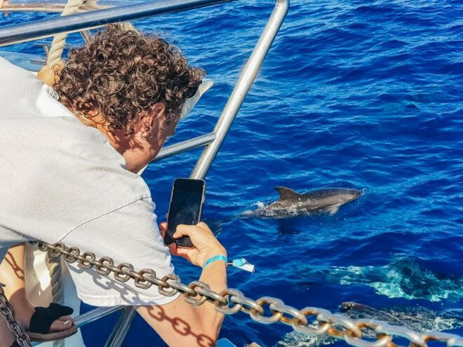 Gran Canaria: Catamaran Dolphin Watch Cruise With Snorkeling - Meeting Point
