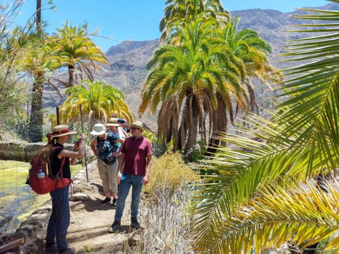 Gran Canaria Cave, Oasis, Red-Gorge Adventure & Cosy Picnic - Main Stops