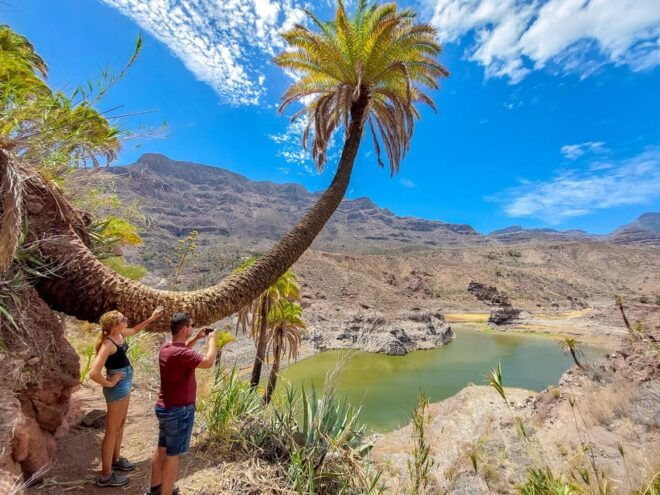 Gran Canaria Cave, Oasis, Red-Gorge Adventure & Cosy Picnic - Transportation