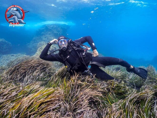 Gran Canaria: Discover Scuba Diving Beginner Program - Inclusions and Equipment