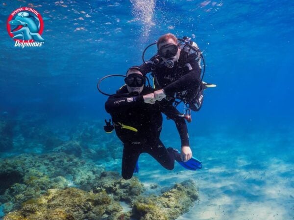 Gran Canaria: Discover Scuba Diving Beginner Program - Personalized Instruction and Safety