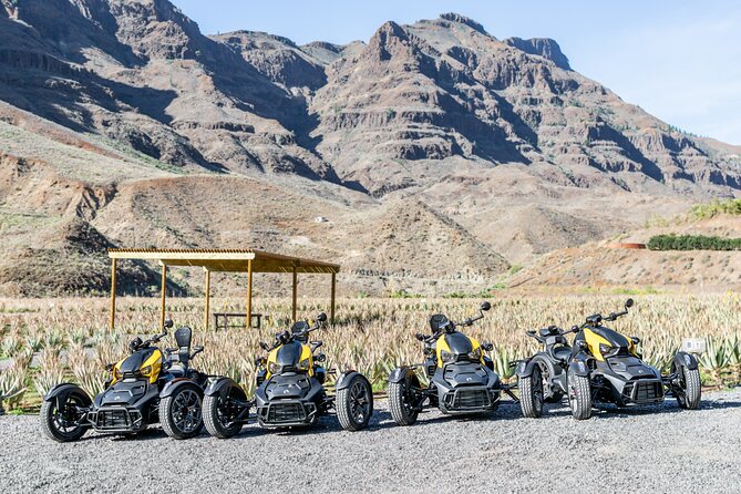 Gran Canaria Discover the Mountain Tour - What To Expect