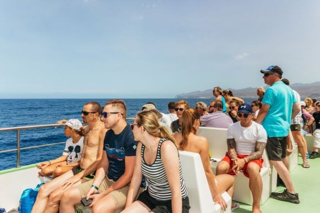 Gran Canaria: Dolphin and Whale Watching Cruise - Booking Details