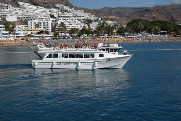 Gran Canaria: Dolphin and Whale Watching Cruise - The Sum Up