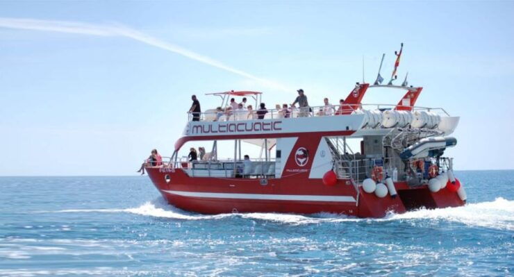 Gran Canaria: Dolphin and Whale Watching Cruise - Experience and Sightings