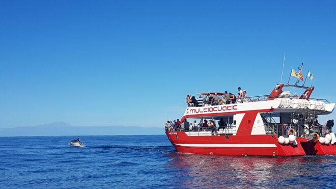 Gran Canaria: Dolphin and Whale Watching Cruise - Duration and Availability