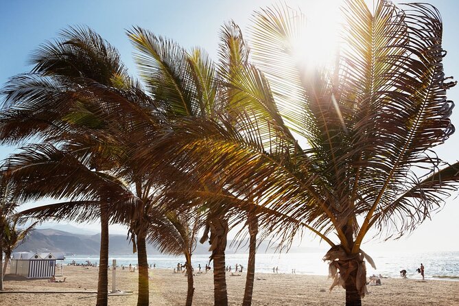 Gran Canaria Easy North Half Day Tour - Cancellation and Refund Policy