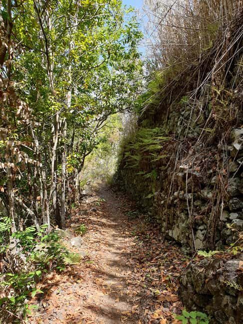 Gran Canaria: excursion to the Laurisilva Forest - Frequently Asked Questions  