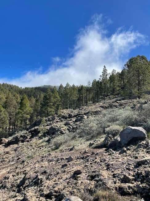 Gran Canaria: excursion to the Ventana del Nublo - Good To Know
