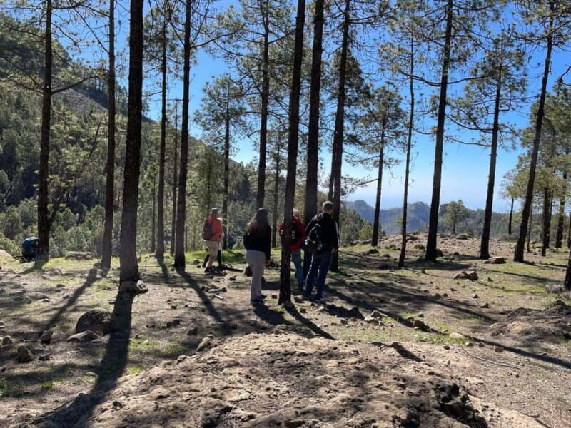 Gran Canaria: excursion to the Ventana del Nublo - Practical Details and What You Need to Know