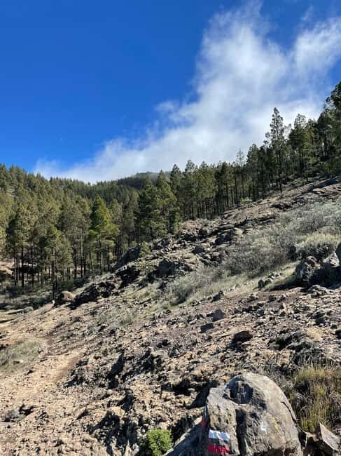 Gran Canaria: excursion to the Ventana del Nublo - Frequently Asked Questions