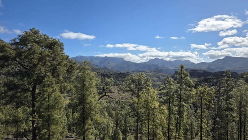 Gran Canaria: Full Coast Tour with Local Guide - Transportation and Group Size