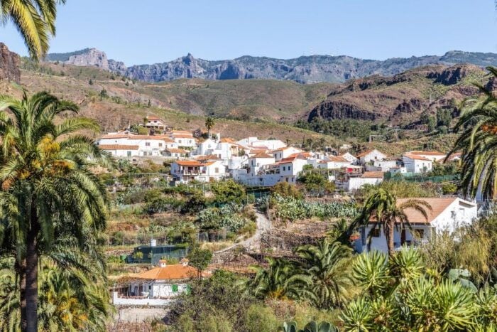 Gran Canaria: Full-Day VIP Tour by Bus - Discovering the Aloe Vera Plantation