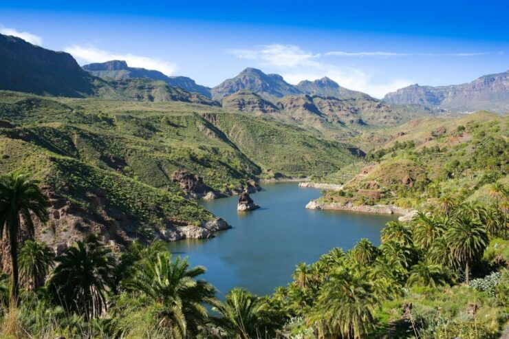Gran Canaria: Full-Day VIP Tour by Bus - Tour Experience