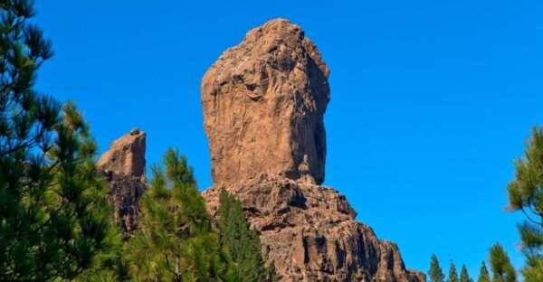 Gran Canaria: Full-Day VIP Tour by Bus - The Sum Up