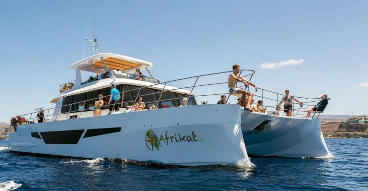 Gran Canaria: Fun Catamaran Cruise With Food and Drinks - Onboard Experience