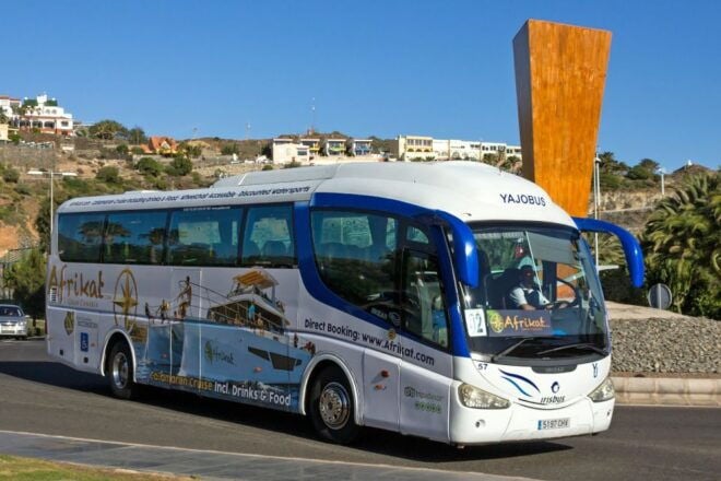 Gran Canaria: Fun Catamaran Cruise With Food and Drinks - Scenic Views and Water Activities