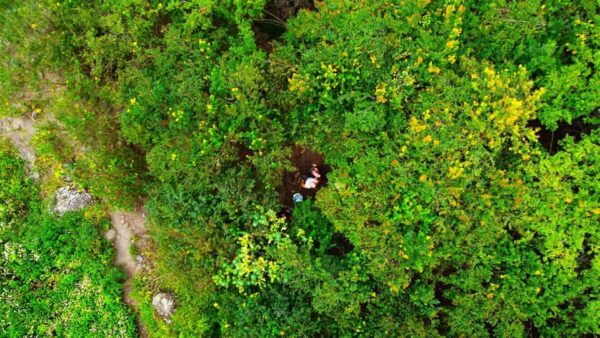 Gran Canaria: Get Your 4K HOLIDAY VIDEO by Your PRIVATE TOUR - Optional Sightseeing Stops