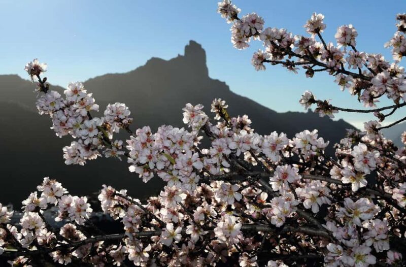 Gran Canaria Gran Tour - Good To Know