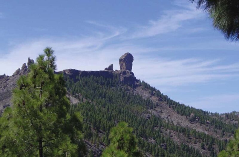 Gran Canaria Gran Tour - Transportation and Tour Dynamics