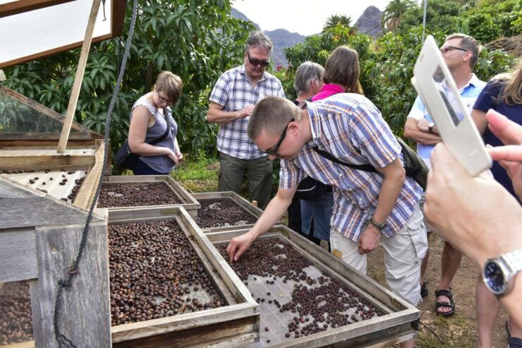 Gran Canaria: Grand Island Tour - Activity Details