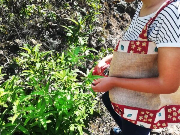 Gran Canaria: Green Witchcraft in the Magic Island - Frequently Asked Questions