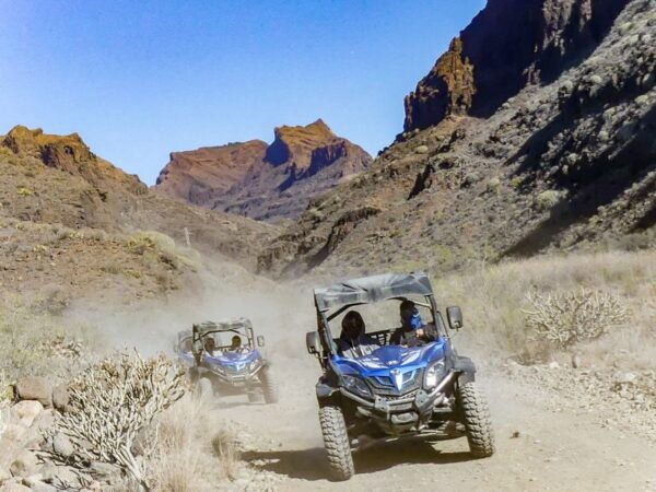 Gran Canaria Guided Buggy Tour - Additional Information About the Tour and Location