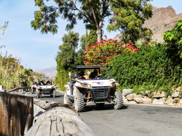 Gran Canaria Guided Buggy Tour - Common Questions