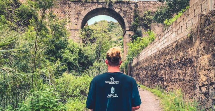 Gran Canaria: Guided Day Tour to Rainforest With Tasting - Highlights of the Tour