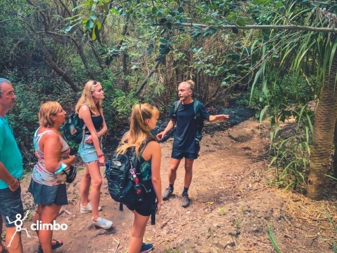 Gran Canaria: Guided Day Tour to Rainforest With Tasting - Full Description of the Tour