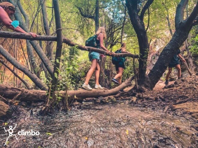 Gran Canaria: Guided Day Tour to Rainforest With Tasting - Refreshing Natural Pools and Tasting Experience