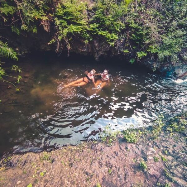 Gran Canaria: Guided Day Tour to Rainforest With Tasting - Review and Ratings