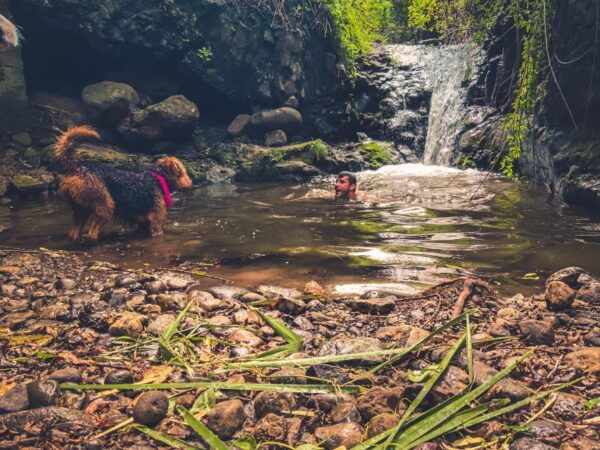 Gran Canaria: Guided Day Tour to Rainforest With Tasting - The Sum Up