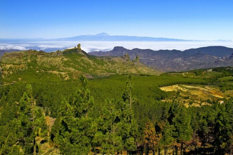 Gran Canaria Highlights Full-Day Tour by Bus - Itinerary Highlights