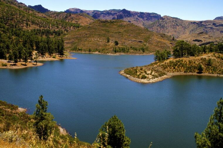 Gran Canaria Highlights Full-Day Tour by Bus - Transportation and Accessibility