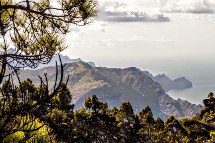 Gran Canaria: Highlights Tour, Hike in the Lauer Forest - Tour Highlights