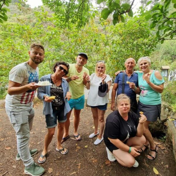 Gran Canaria: Highlights Tour, Hike in the Lauer Forest - Directions