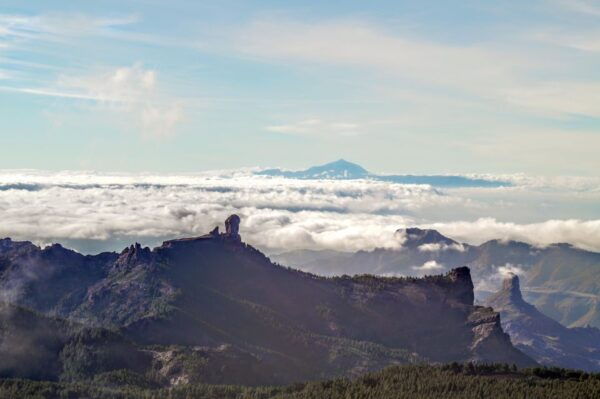 Gran Canaria: Highlights Tour, Hike in the Lauer Forest - The Sum Up
