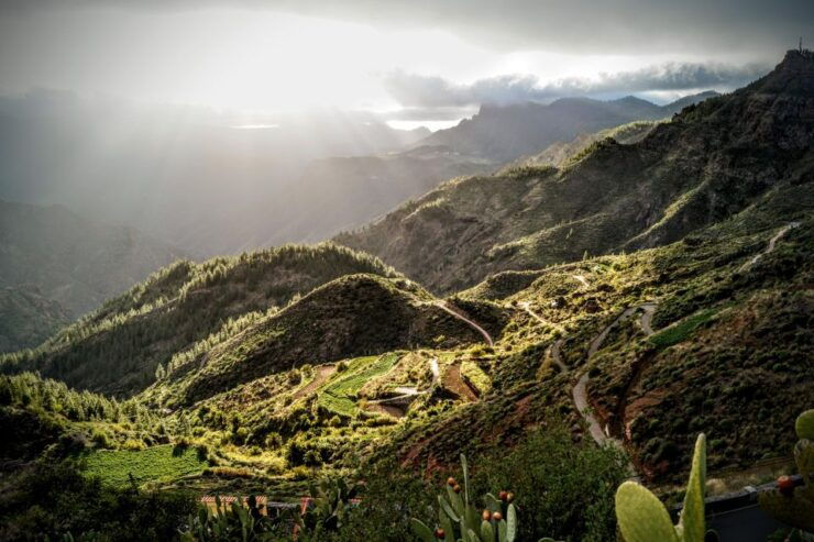 Gran Canaria: Highlights Tour, Hike in the Lauer Forest - Activity Details