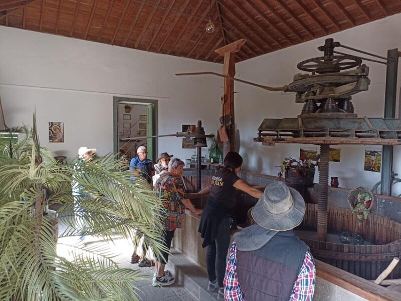 Gran Canaria: Highlights Wine Tasting Tour & Shore Excursion - Itinerary Highlights