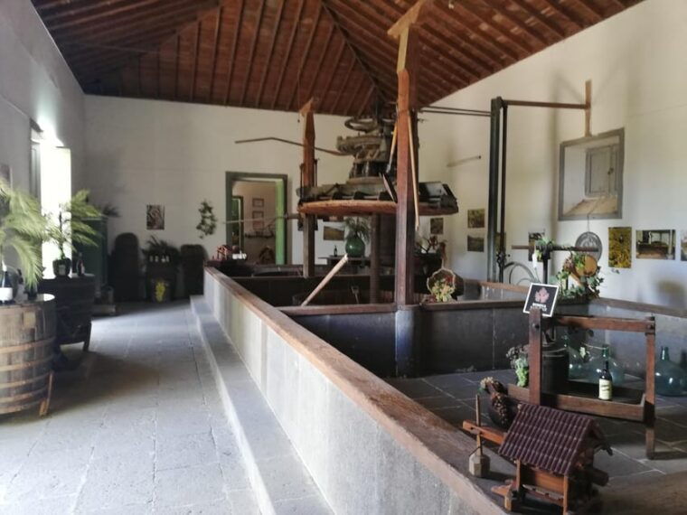 Gran Canaria: Highlights Wine Tasting Tour & Shore Excursion - What to Bring