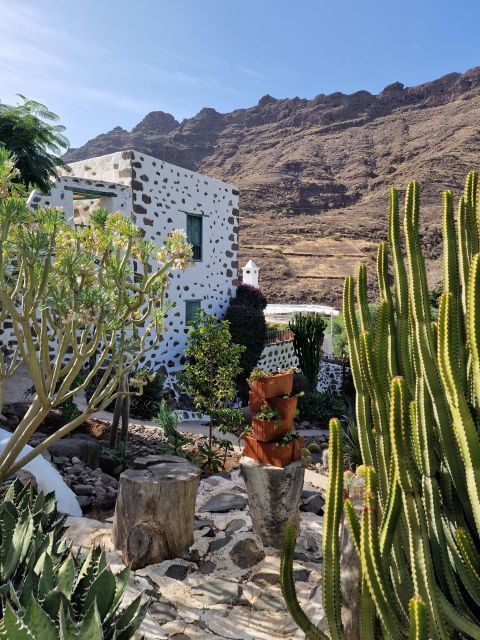 Gran Canaria Historical House With Mango Plantation - Mango Plantation and Canarian Cuisine