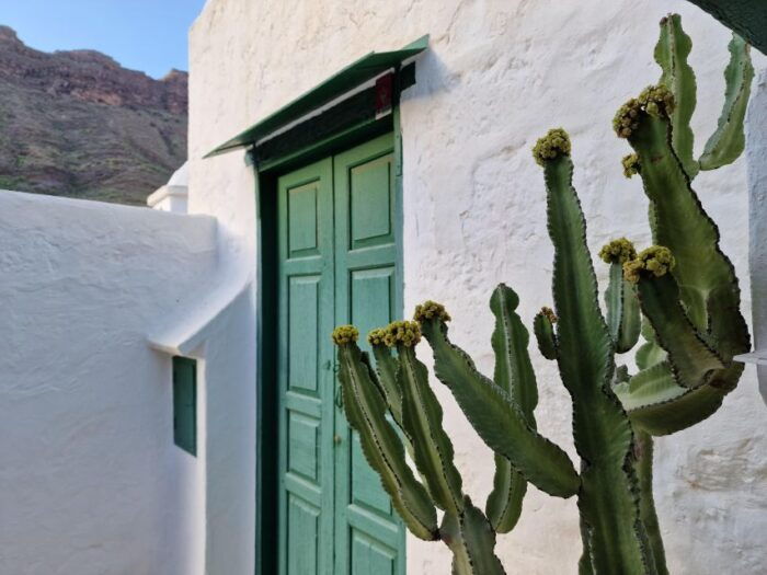 Gran Canaria Historical House With Mango Plantation - Vermouth Factory and Tastings