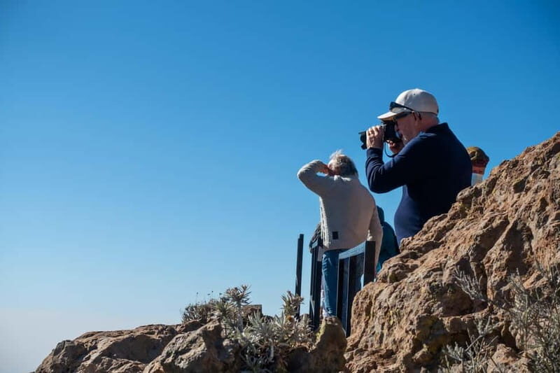 Gran Canaria: Island Highlights Tour with Optional Lunch - Practical Tips for Travelers  