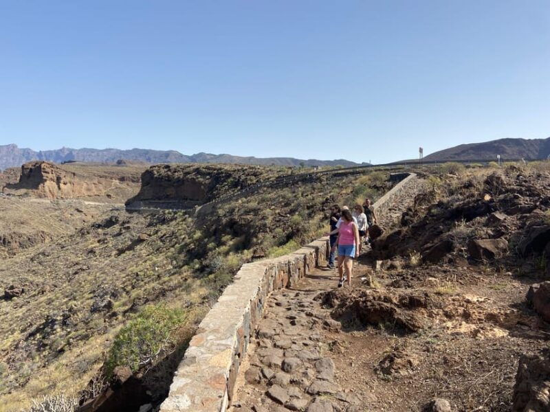 Gran Canaria LETS GET HIGH!: Altitude Wines and Tapas Lunch - Itinerary and Highlights
